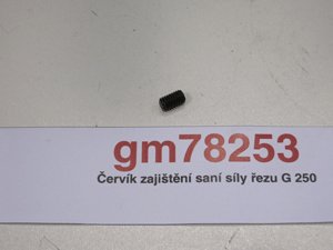 Worm ensuring suction of cutting force G 250