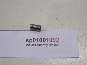 Plug-in pin of gear wheel RM-100 pos. 6