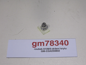 Screw 6109/5-holding cover GM-CG4250802