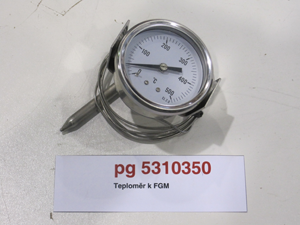 Thermometer for Entry