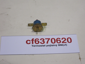 Safety thermostat BM(cf)