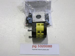 Main pizza oven switch