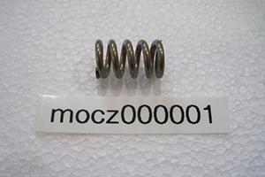 DOC - Shower end spring