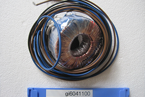 Transformer EPD, MST, MSD